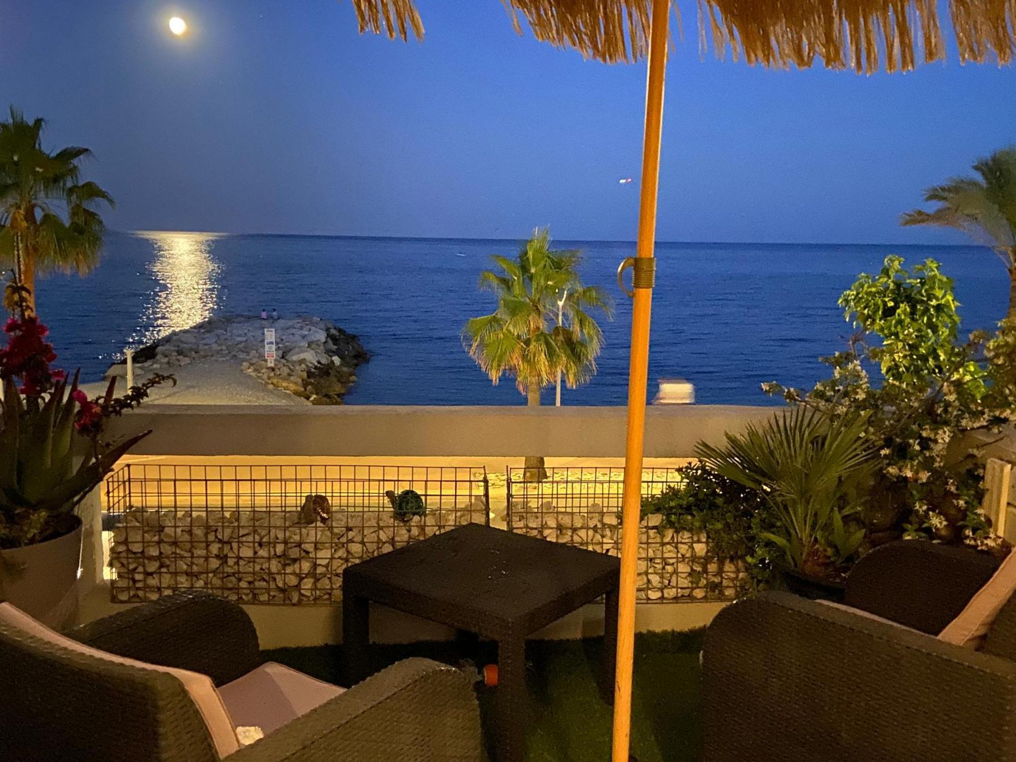 O Phare Du Cros Apartman Cagnes-sur-Mer Kültér fotó